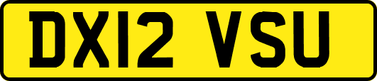 DX12VSU