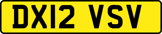 DX12VSV