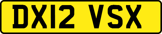 DX12VSX