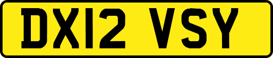 DX12VSY