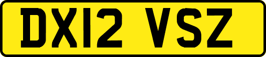DX12VSZ