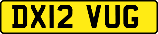 DX12VUG
