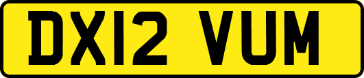 DX12VUM
