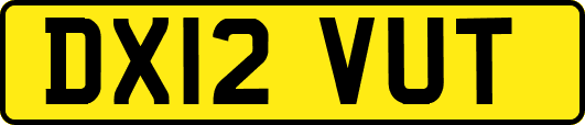 DX12VUT