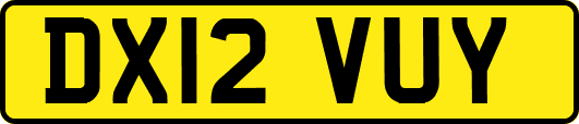 DX12VUY