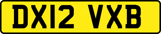 DX12VXB