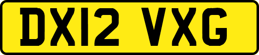DX12VXG