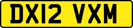 DX12VXM