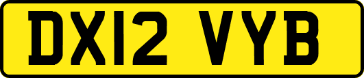 DX12VYB