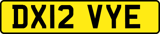 DX12VYE