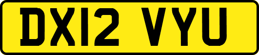 DX12VYU