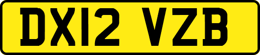 DX12VZB