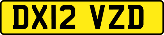 DX12VZD