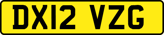 DX12VZG