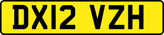 DX12VZH