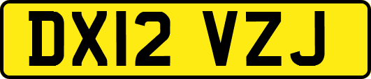 DX12VZJ