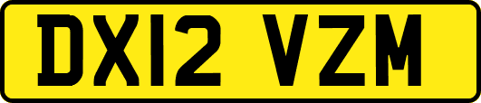 DX12VZM