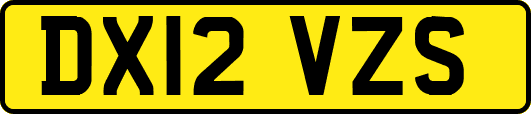 DX12VZS