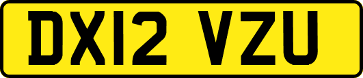 DX12VZU