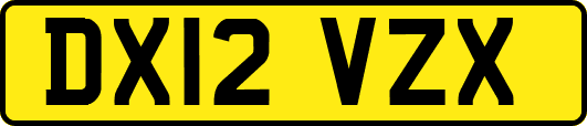 DX12VZX