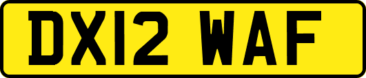 DX12WAF