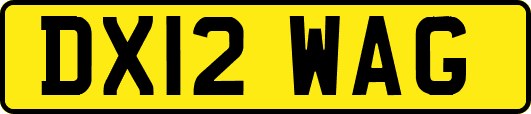 DX12WAG