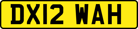 DX12WAH