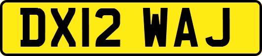 DX12WAJ