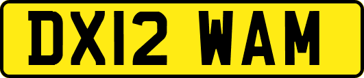 DX12WAM
