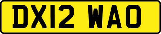 DX12WAO