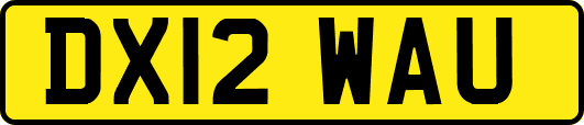 DX12WAU