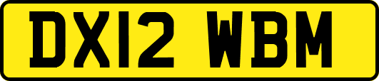DX12WBM