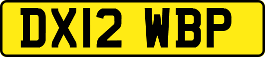 DX12WBP
