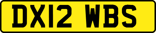 DX12WBS