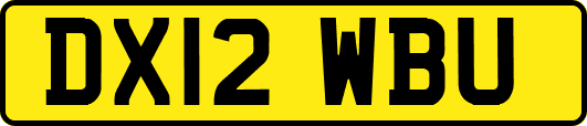 DX12WBU