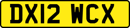 DX12WCX