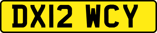 DX12WCY