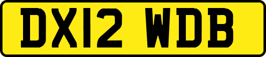DX12WDB