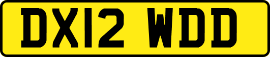 DX12WDD