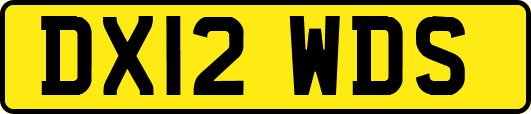 DX12WDS