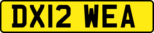 DX12WEA