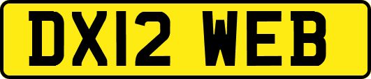 DX12WEB