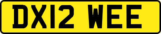 DX12WEE