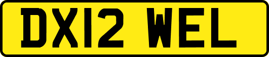 DX12WEL