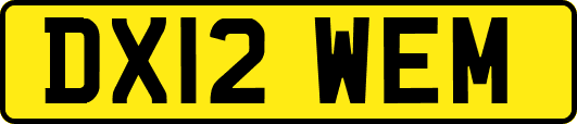 DX12WEM