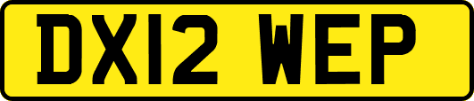 DX12WEP