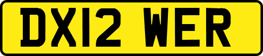 DX12WER