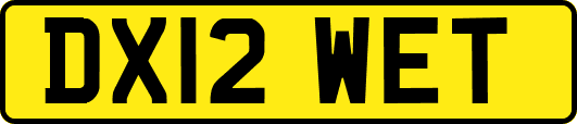 DX12WET