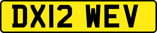DX12WEV