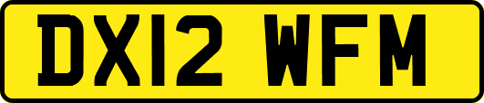 DX12WFM